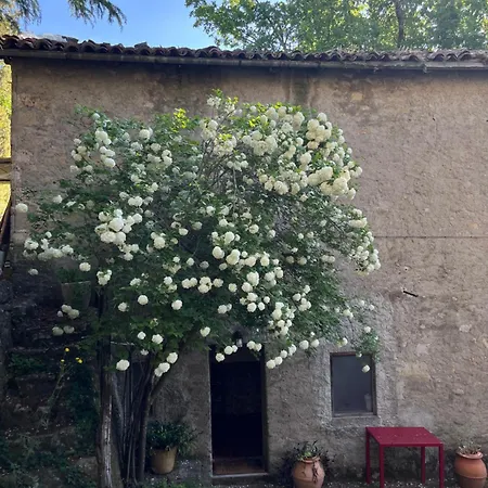 Borgo Il Monzone *