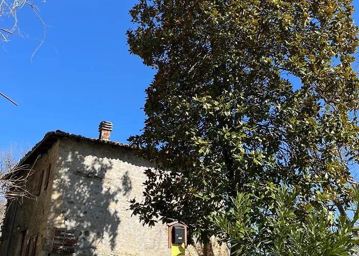 Borgo Il Monzone Appartamento